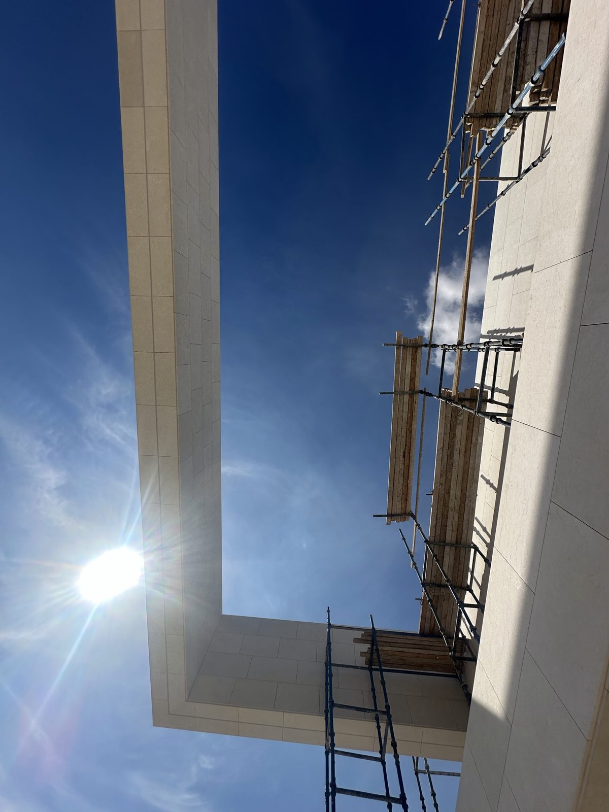 Canopy seen from below